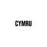 W4 CYMRU Large Oval Sticker