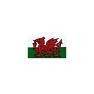 W4 Welsh Dragon Medium Rectangular Sticker