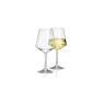 2pk Savoy Polycarbonate Wine Glass