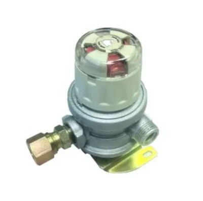 Cavagna 10mm Auto Changeover Regulator