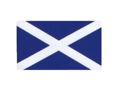 W4 Scotland Flag Medium Sticker