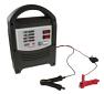 Maypole Automatic 6V & 12V Battery Charger - 8 Amp