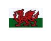 W4 Welsh Dragon Medium Rectangular Sticker