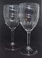 Pair of Acrylic Wine Glasses