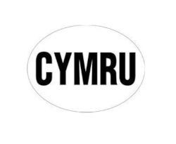 W4 CYMRU Large Oval Sticker