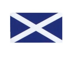 W4 Scotland Flag Medium Sticker